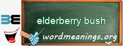 WordMeaning blackboard for elderberry bush